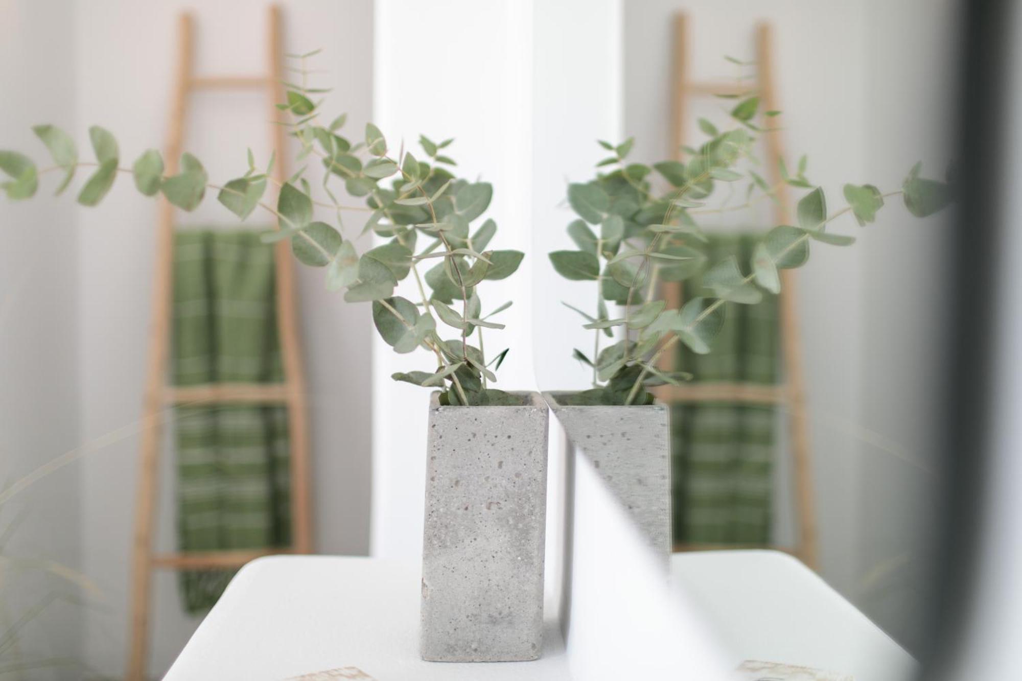 Anamnesia Boutique Apartments Naxos Town Naxos City ภายนอก รูปภาพ